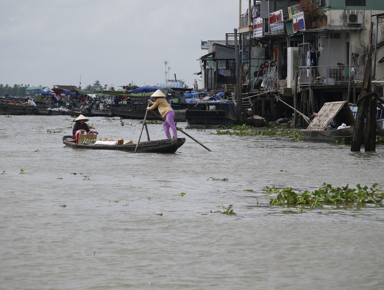 Mekong Delta